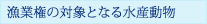 ƌ̑ΏۂƂȂ鐅Y